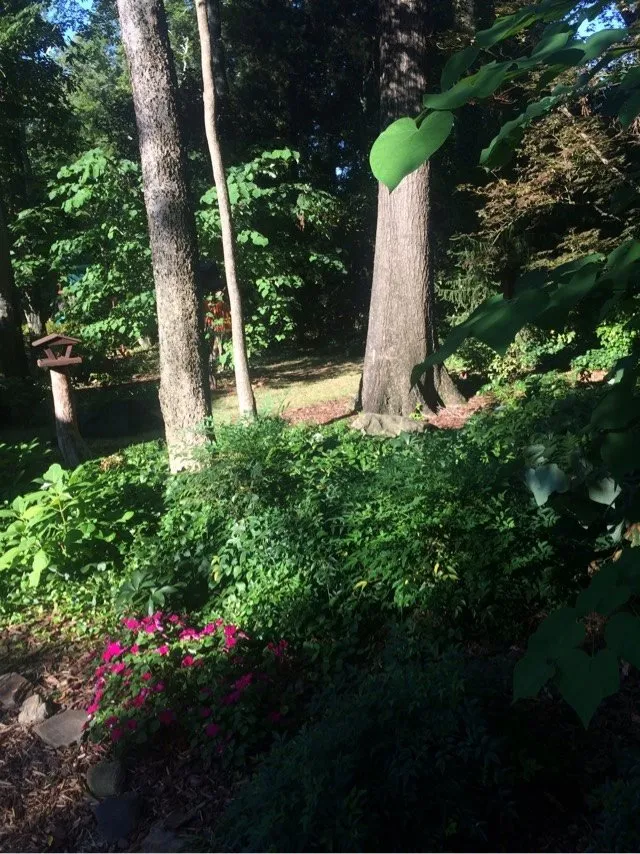 Expert landscaping services for outdoor upgrades across Charlotte, NC - The Pro TEK Group