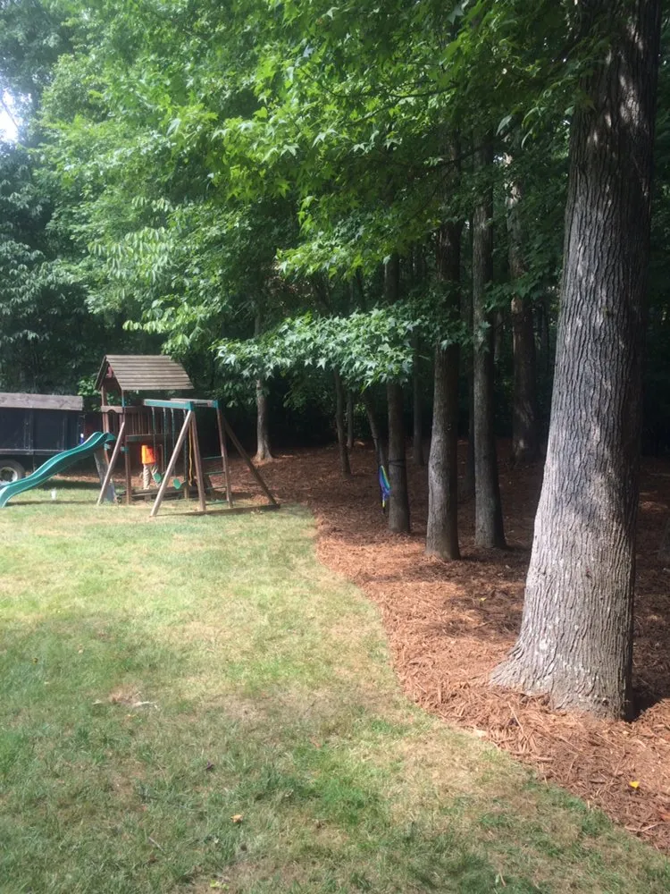 Affordable lawn care service for outdoor upgrades across Charlotte, NC - The Pro TEK Group