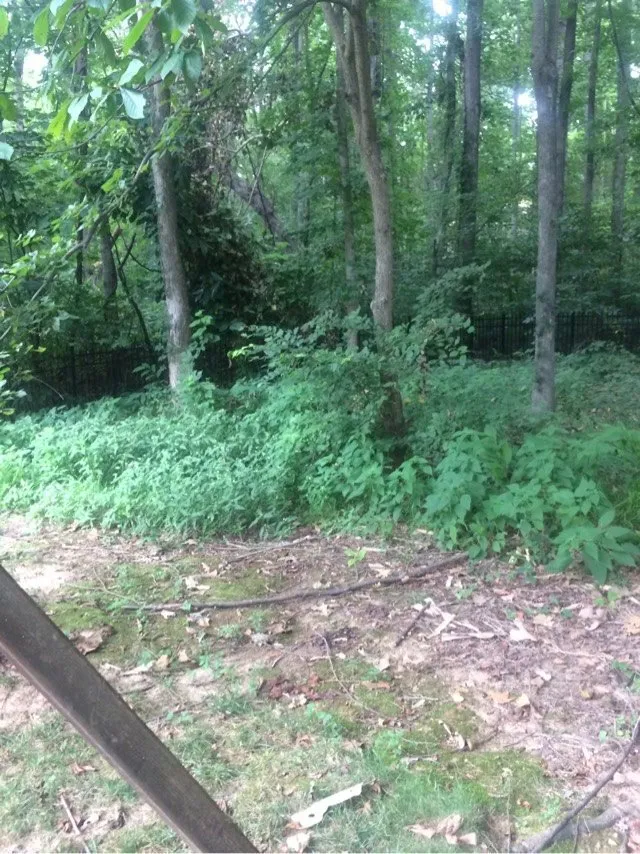 Professional landscape installation in Charlotte, NC by The Pro TEK Group