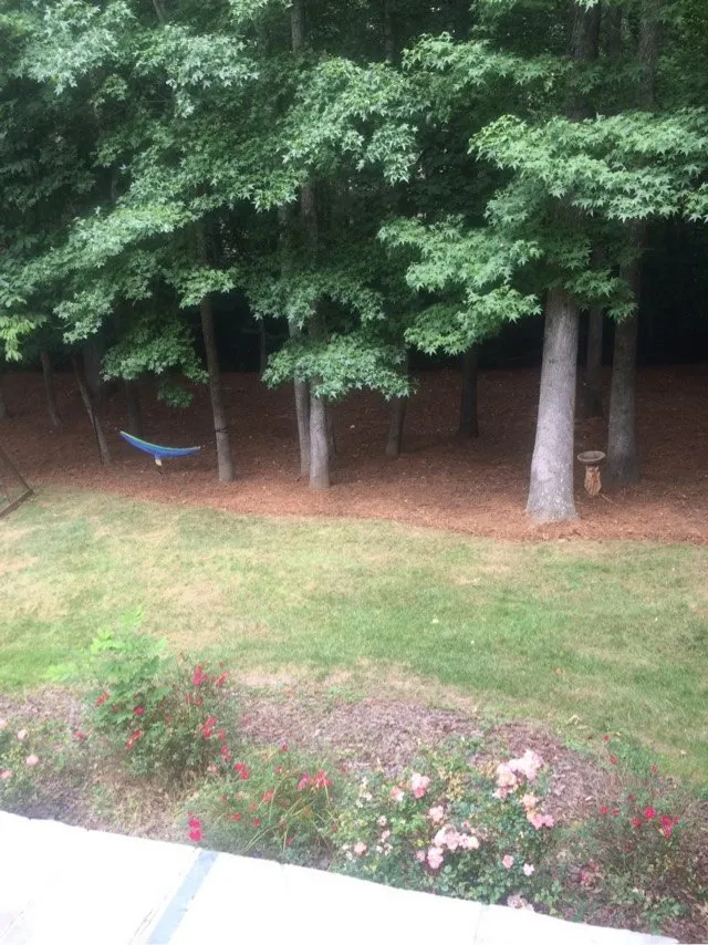 Affordable residential landscaping in Charlotte, NC by The Pro TEK Group