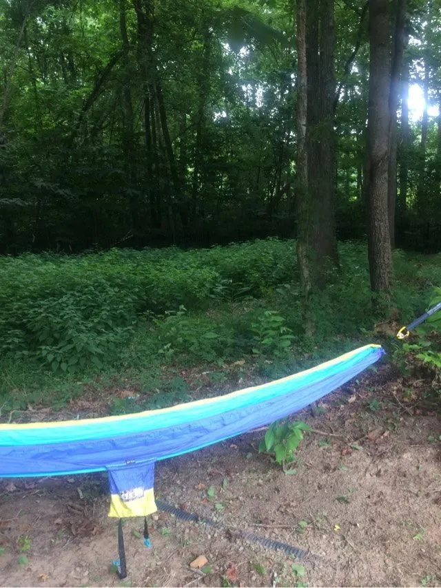 Custom landscape installation experts serving Charlotte, NC - The Pro TEK Group