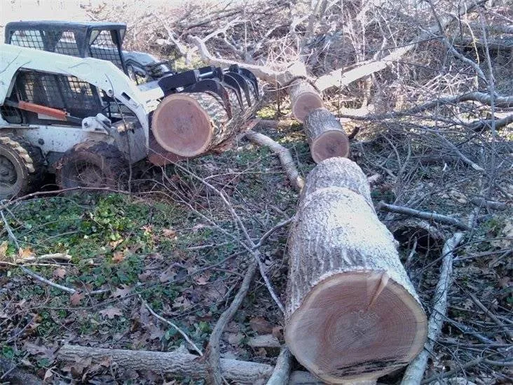 Professional lawn care service for homes across Ofallon, MO - The Professional Tree Service