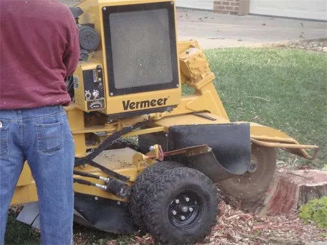 Top-rated garden landscaping in Ofallon, MO by The Professional Tree Service