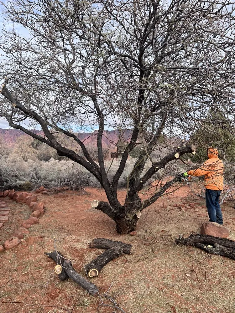 Top-rated landscaping services in St. George, UT by The Promise Land Landscaping