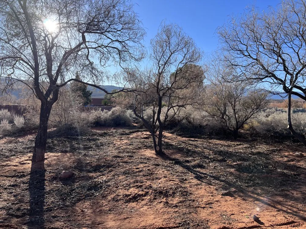 Affordable yard cleanup service for outdoor upgrades in St. George, UT by The Promise Land Landscaping