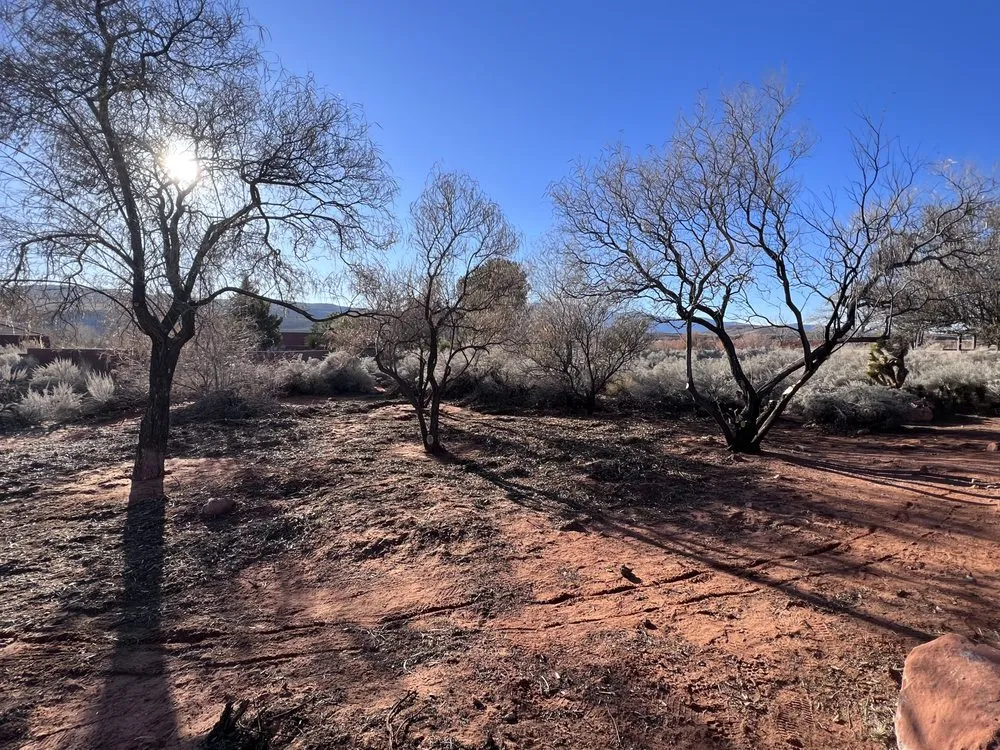 Trusted landscaping services for outdoor upgrades in St. George, UT by The Promise Land Landscaping