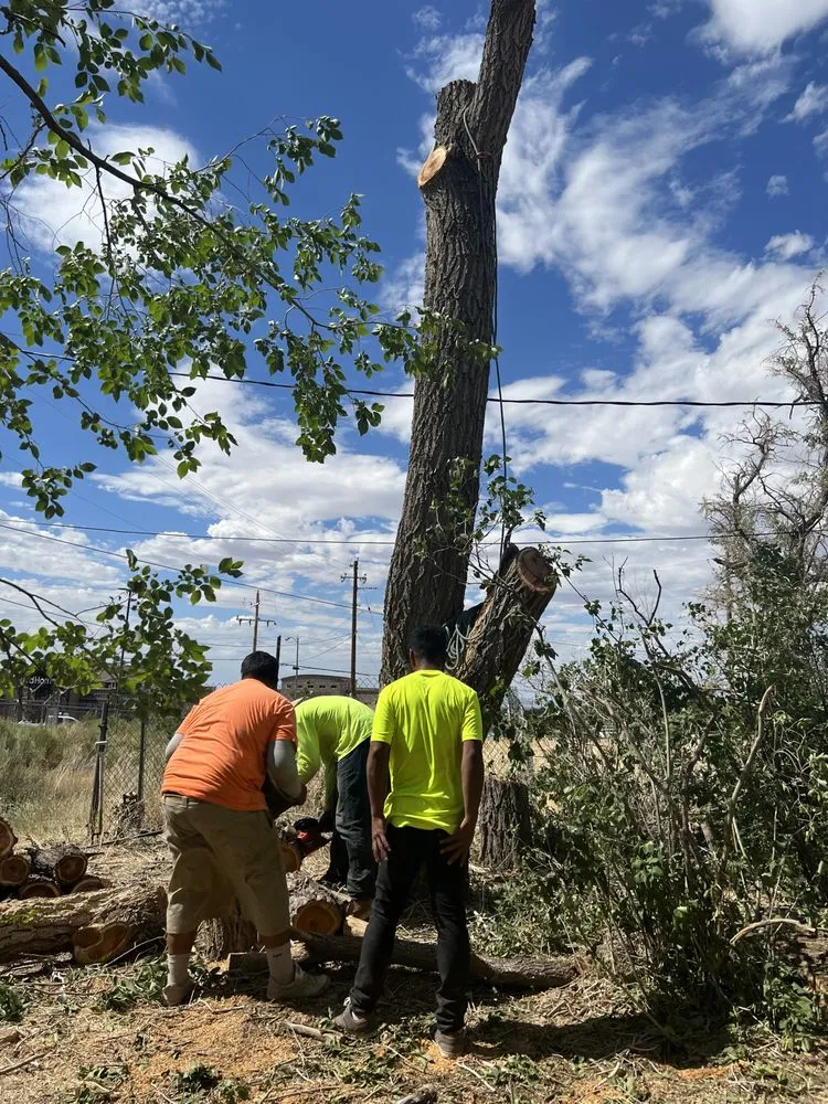 Expert outdoor landscaping in St. George, UT - The Promise Land Landscaping