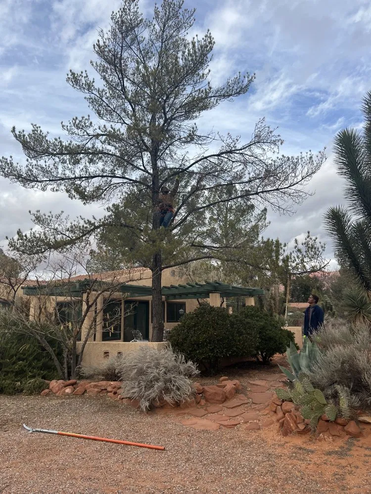 Top-rated landscaping services for homes across St. George, UT - The Promise Land Landscaping