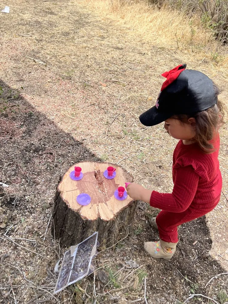 Trusted lawn care service in St. George, UT by The Promise Land Landscaping