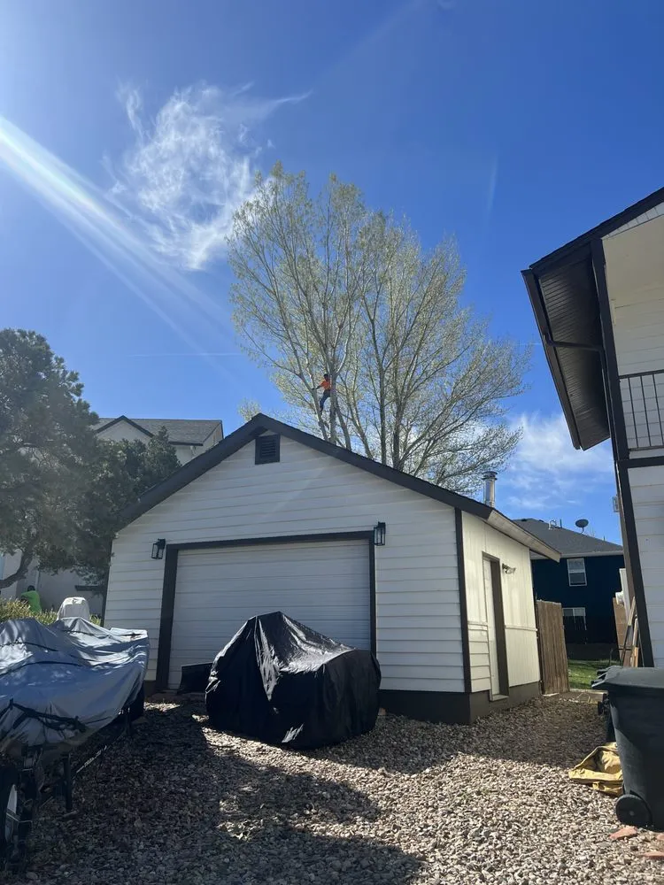 Professional yard cleanup service experts serving St. George, UT - The Promise Land Landscaping