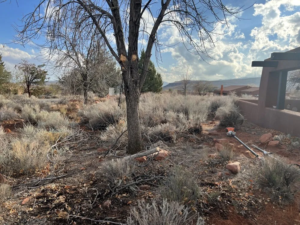 Affordable lawn care service in St. George, UT - The Promise Land Landscaping