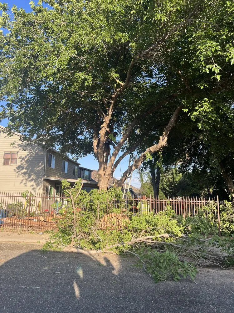 Expert lawn care service in St. George, UT - The Promise Land Landscaping