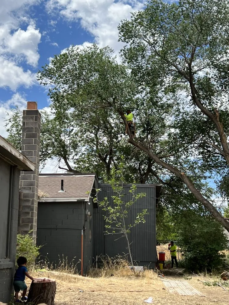 Professional landscape design in St. George, UT - The Promise Land Landscaping