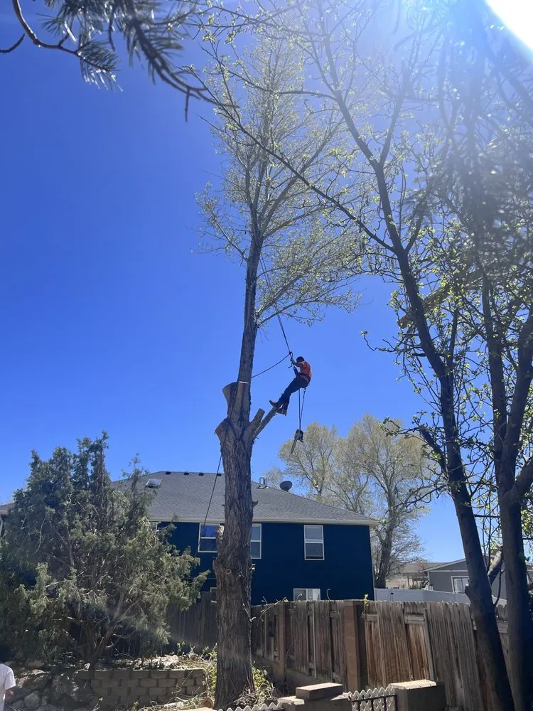 Reliable landscape design experts serving St. George, UT - The Promise Land Landscaping