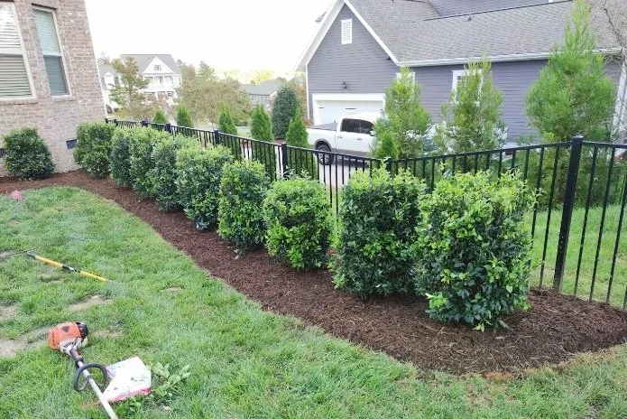Professional yard cleanup service in Marshville, NC - The Promised Land Landscape Services
