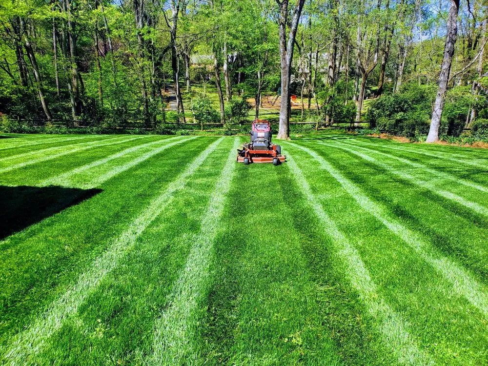 Top-rated yard maintenance for outdoor upgrades across Marshville, NC - The Promised Land Landscape Services