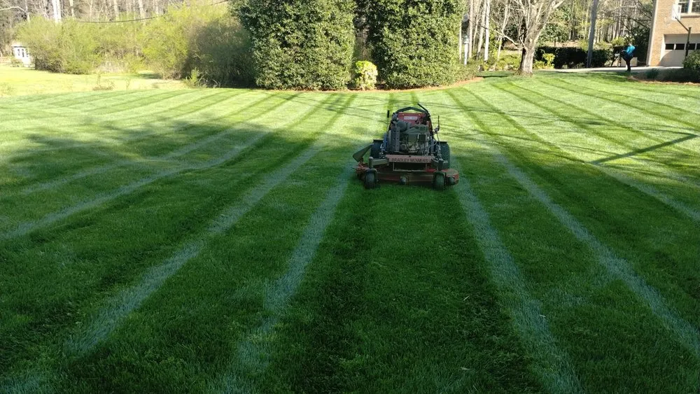 Top-rated lawn care service experts serving Marshville, NC - The Promised Land Landscape Services