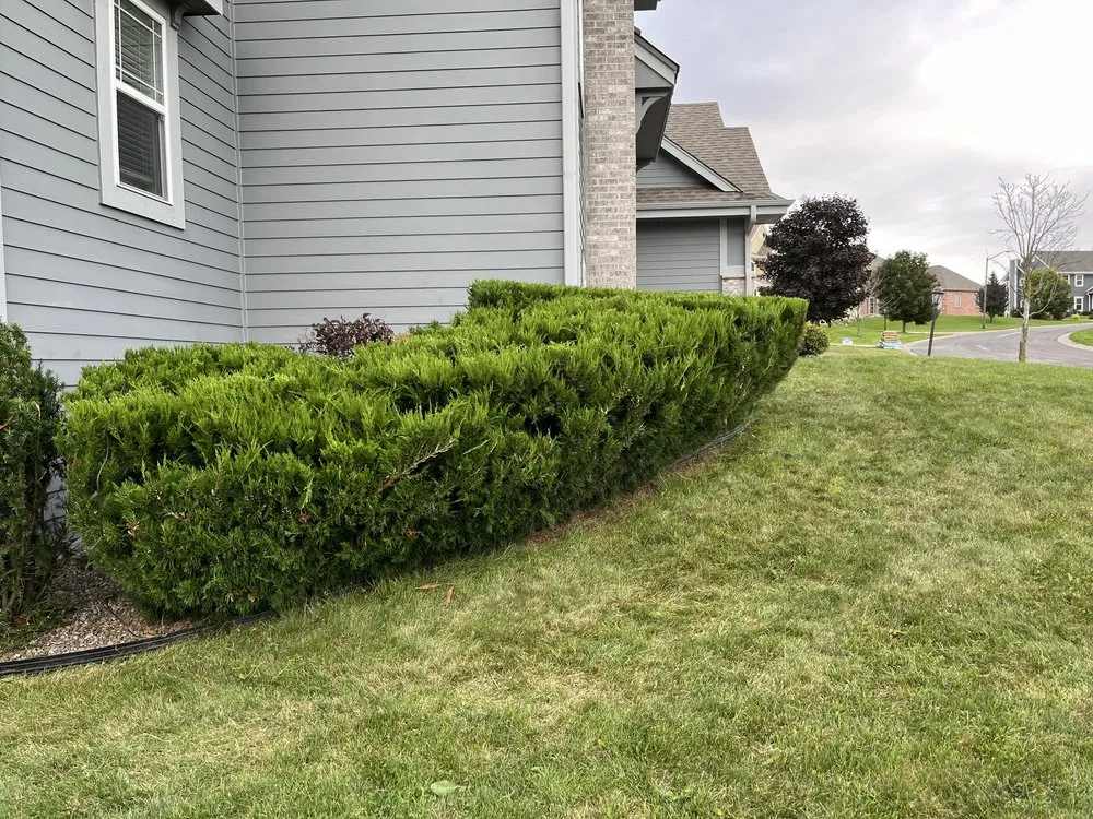 Top-rated yard cleanup service in Milwaukee, WI by The Promised Land Lawn And Snow Management