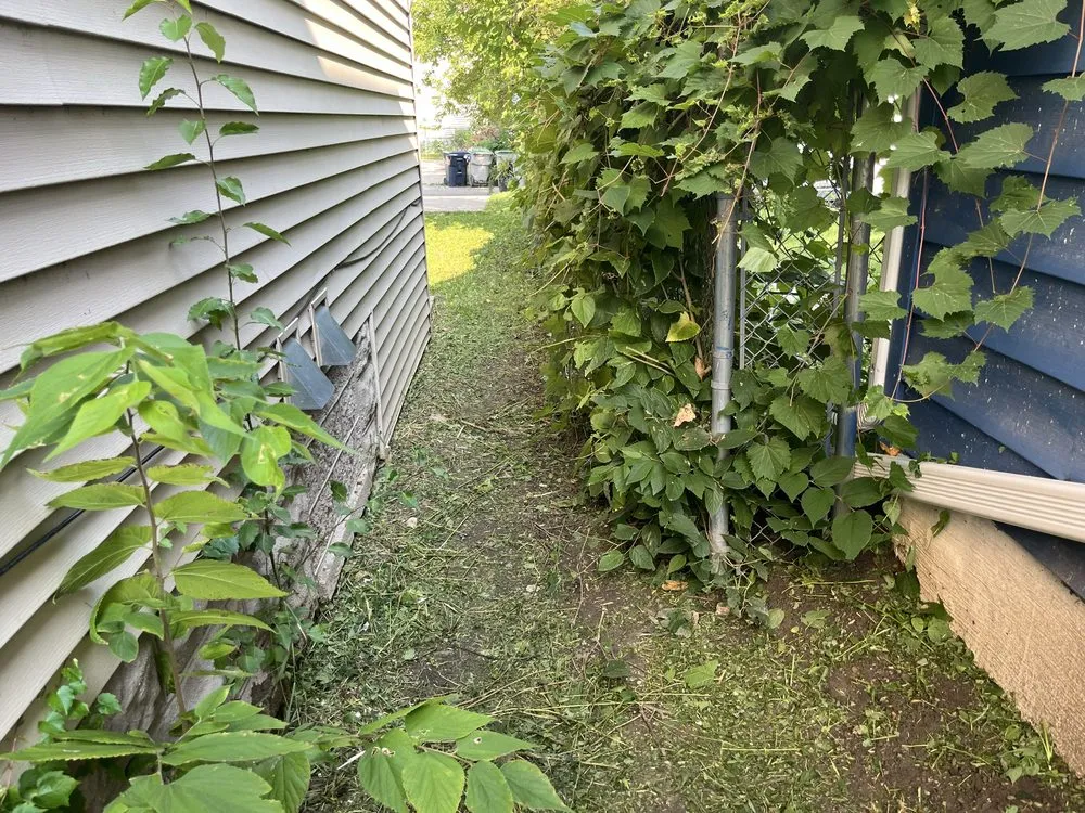 Trusted yard cleanup service in Milwaukee, WI - The Promised Land Lawn And Snow Management