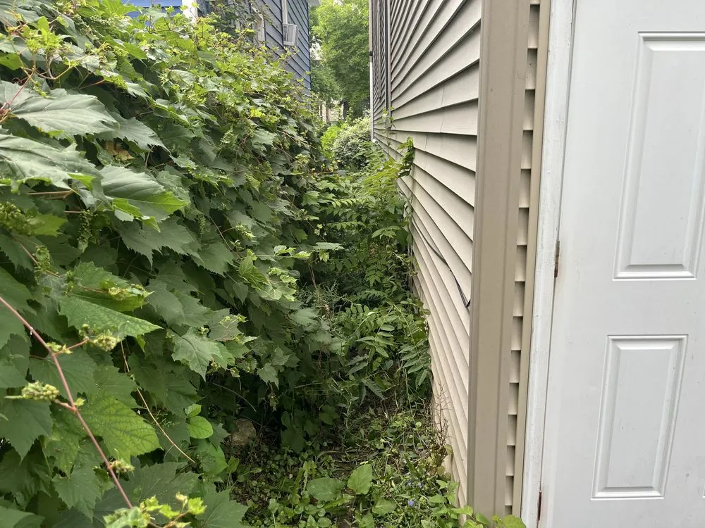 Custom yard cleanup service in Milwaukee, WI - The Promised Land Lawn And Snow Management