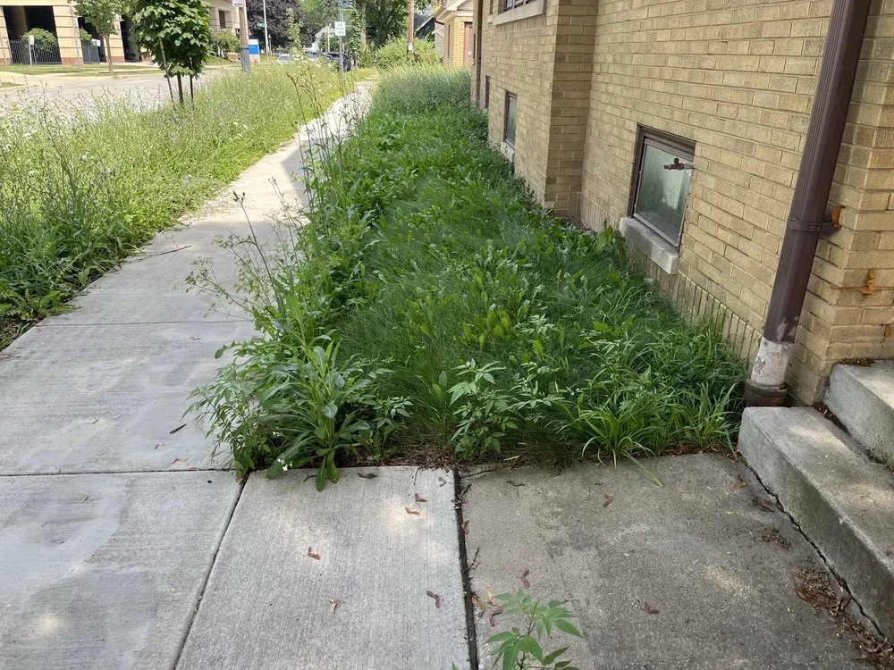 Trusted garden landscaping in Milwaukee, WI by The Promised Land Lawn And Snow Management