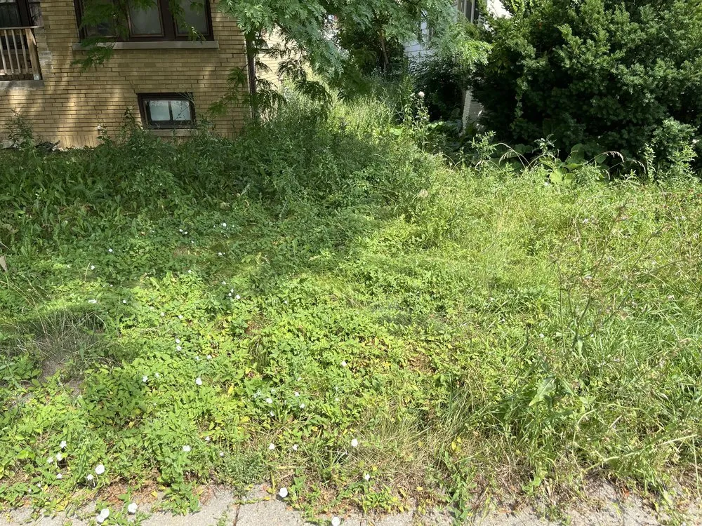 Trusted lawn mowing service experts serving Milwaukee, WI - The Promised Land Lawn And Snow Management