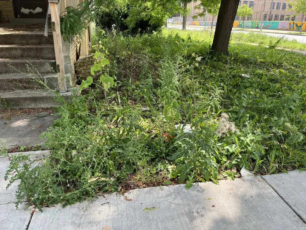 Top-rated yard maintenance for year-round maintenance in Milwaukee, WI by The Promised Land Lawn And Snow Management