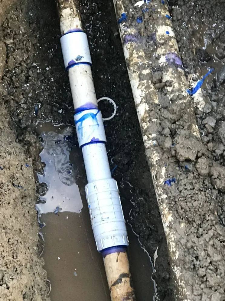 Top-rated garden landscaping experts serving Cameron Park, CA - The Promised Land-Scape Services