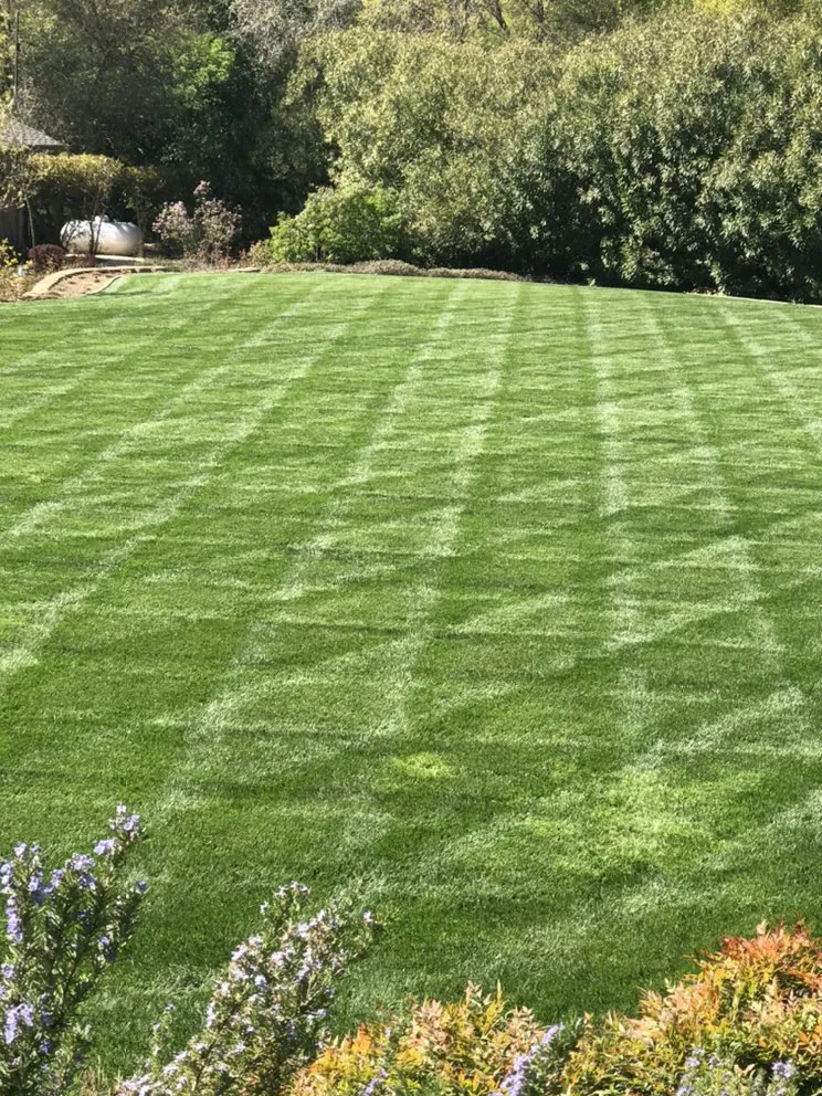 Local landscaping services experts serving Cameron Park, CA - The Promised Land-Scape Services