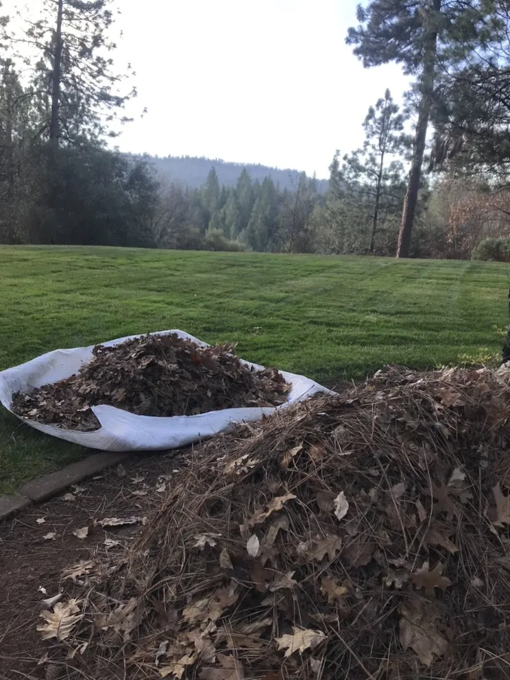 Local garden landscaping experts serving Cameron Park, CA - The Promised Land-Scape Services