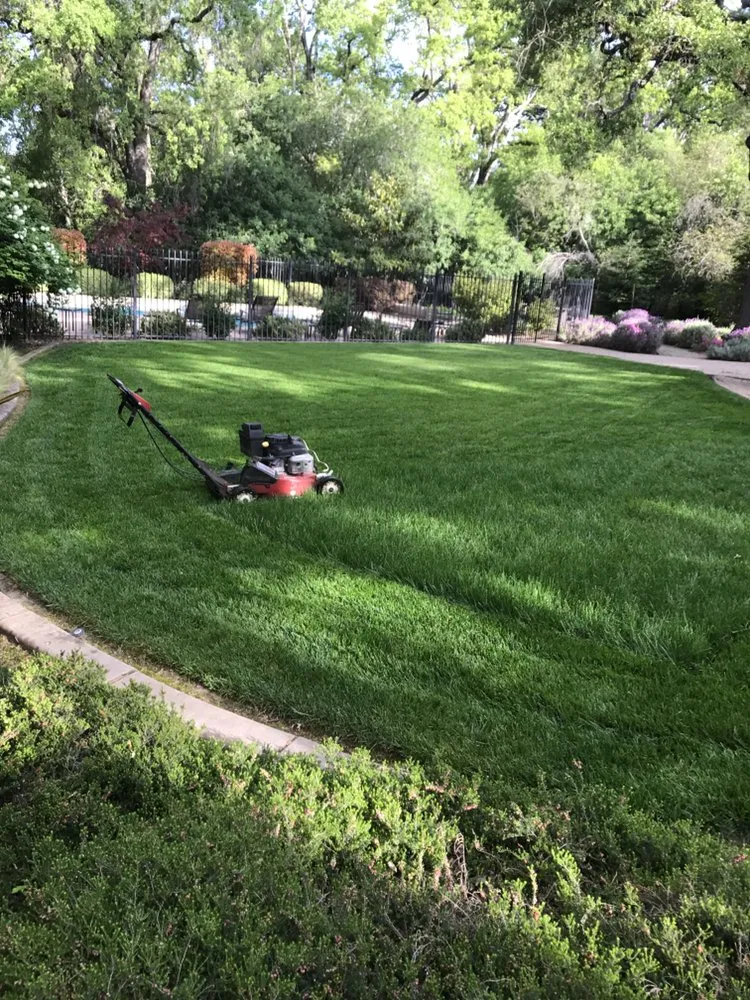 Local yard maintenance near you in Cameron Park, CA by The Promised Land-Scape Services