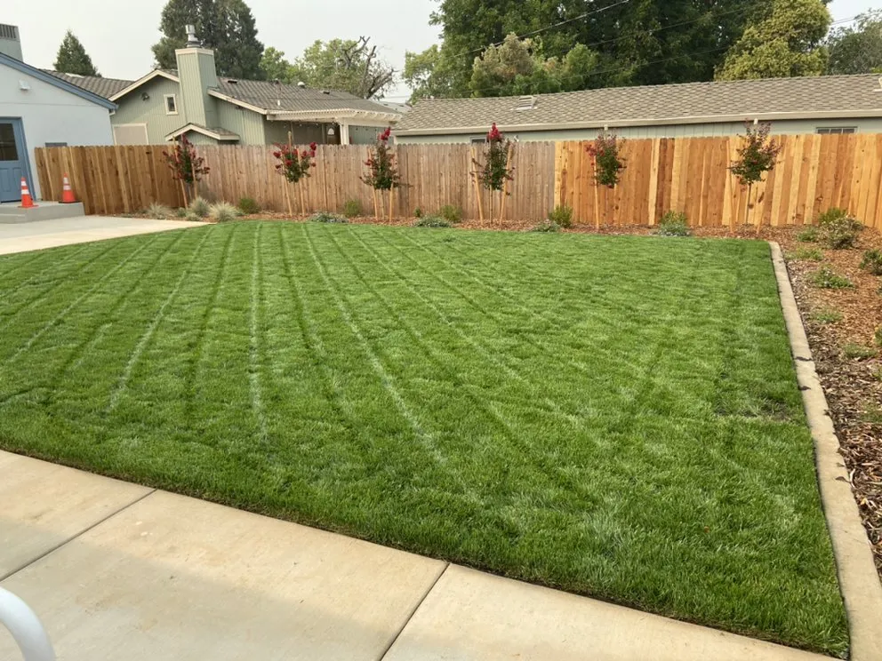 Local lawn care service in Cameron Park, CA - The Promised Land-Scape Services