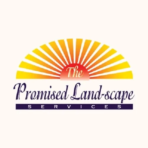 Trusted yard cleanup service experts serving Cameron Park, CA - The Promised Land-Scape Services