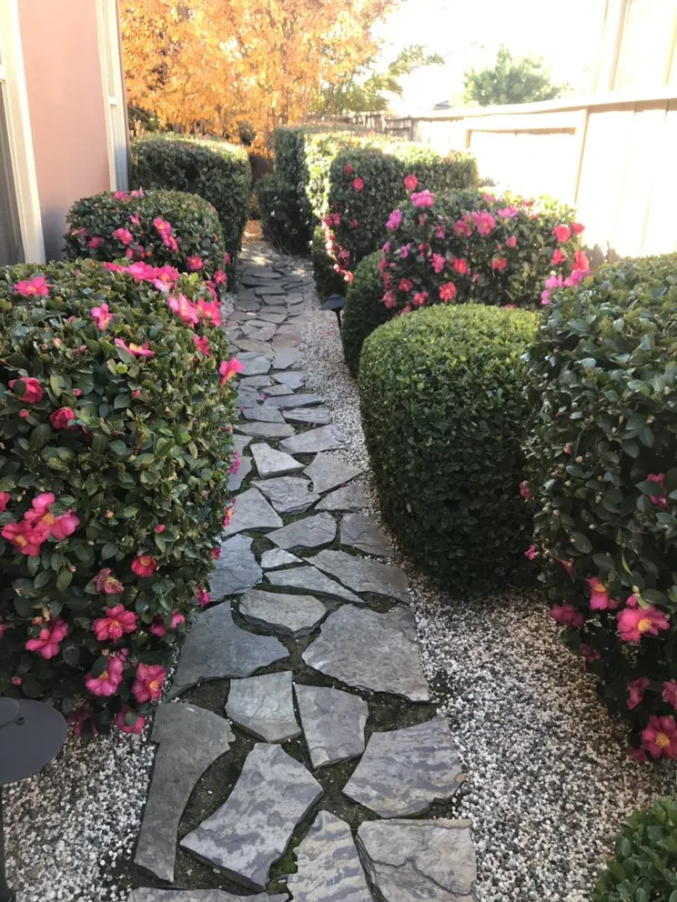 Reliable lawn care service in Cameron Park, CA by The Promised Land-Scape Services