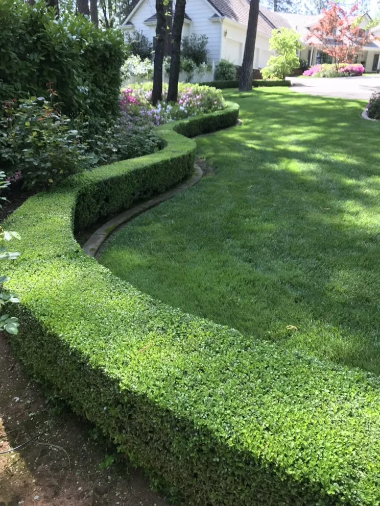 Custom landscape design for residential properties across Cameron Park, CA - The Promised Land-Scape Services