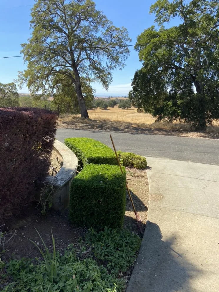 Local lawn care service in Cameron Park, CA - The Promised Land-Scape Services