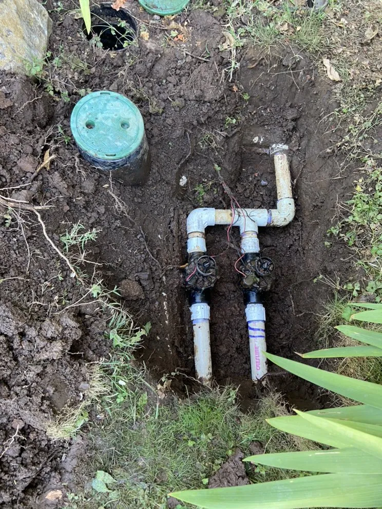 Custom yard maintenance experts serving Cameron Park, CA - The Promised Land-Scape Services