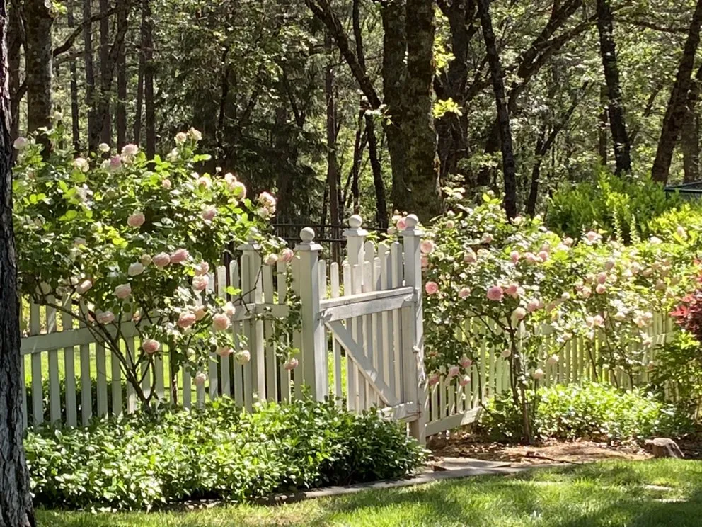 Trusted landscape installation in Cameron Park, CA by The Promised Land-Scape Services