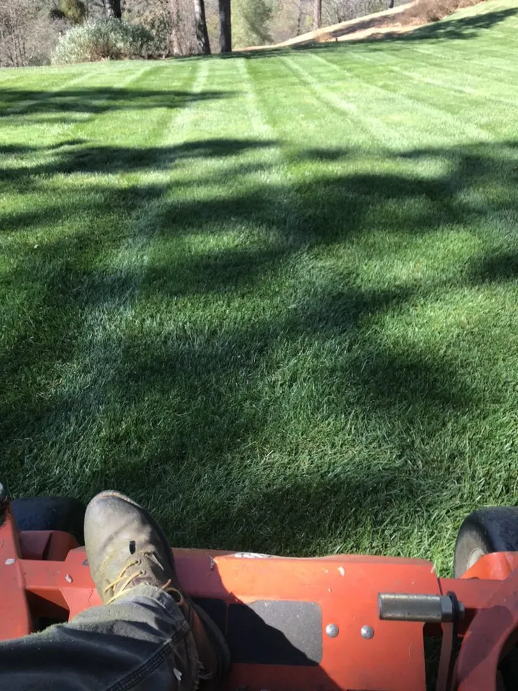 Top-rated garden landscaping experts serving Cameron Park, CA - The Promised Land-Scape Services