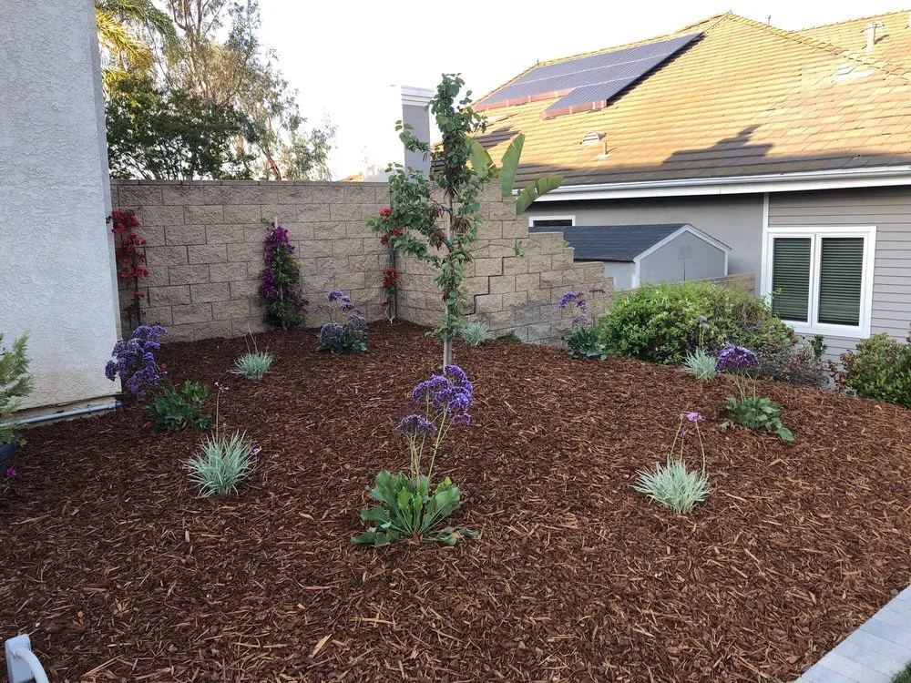 Top-rated landscaping services with custom design across Ventura, CA - The Promised Landscape