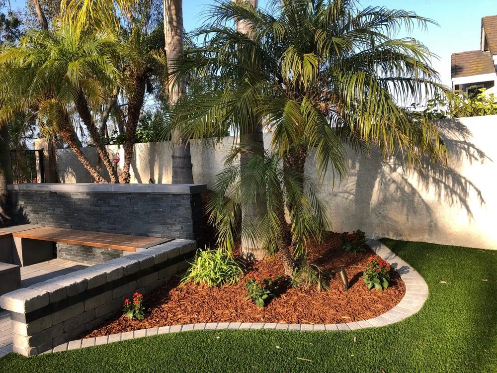Expert yard cleanup service experts serving Ventura, CA - The Promised Landscape