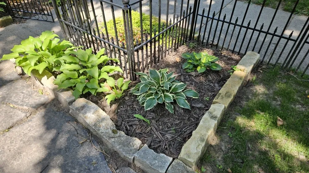 Affordable landscape installation in Wichita, KS by The Proper Cut