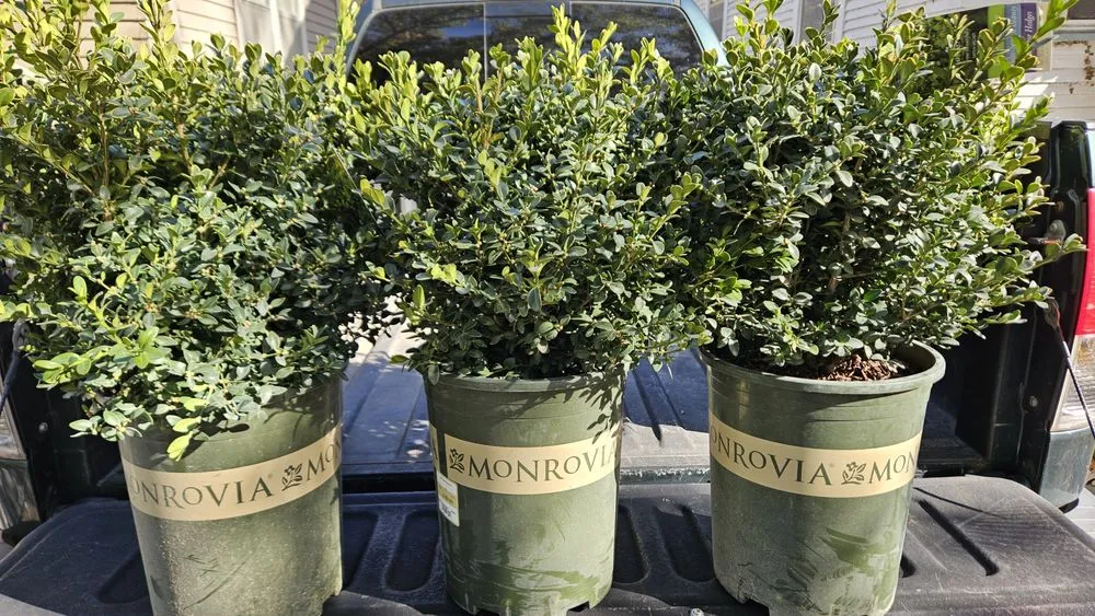 Top-rated landscaping services for outdoor upgrades across Wichita, KS - The Proper Cut