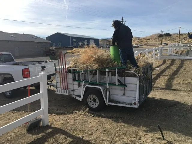 Top-rated yard maintenance in Reno, NV by The Proper Image