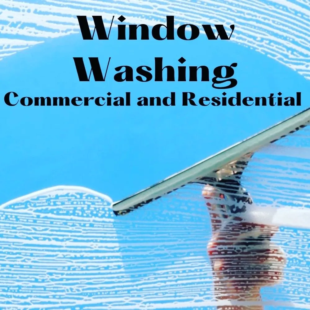Reliable yard cleanup service experts serving Paris Crossing, IN - The Property Polisher