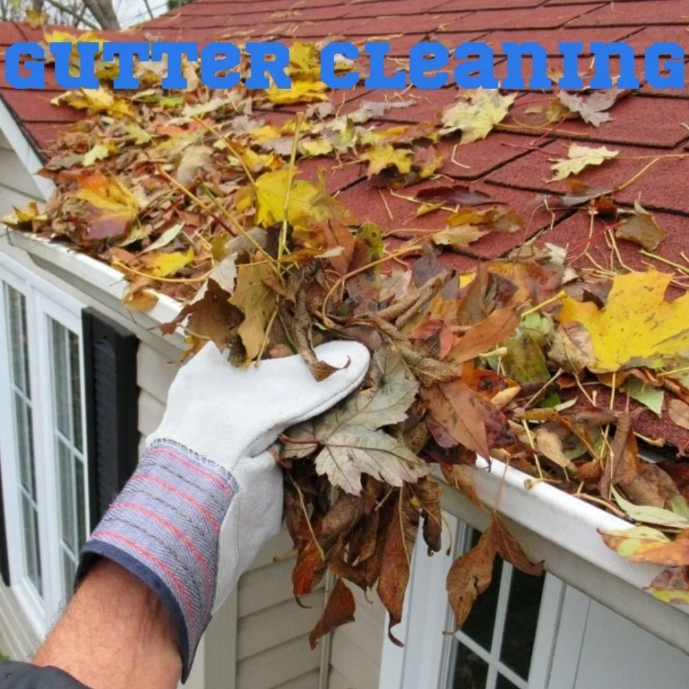 Affordable outdoor landscaping for residential properties in Paris Crossing, IN by The Property Polisher