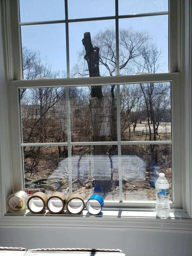 Professional lawn mowing service in Lynn, MA by The Pros