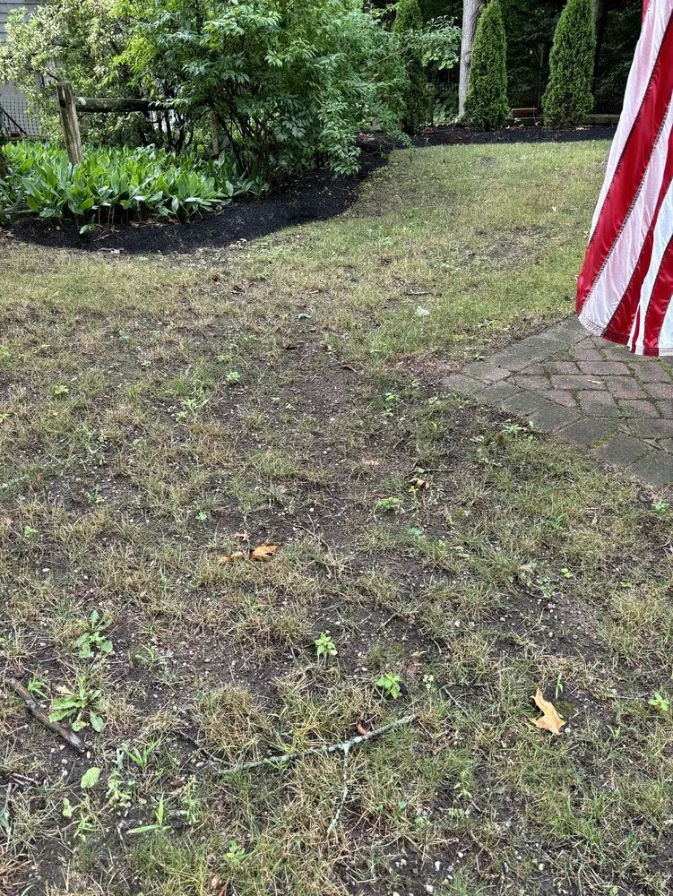 Top-rated lawn mowing service in Lynn, MA - The Pros