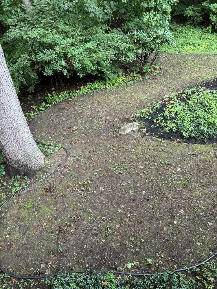 Affordable yard maintenance in Lynn, MA by The Pros
