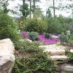 Expert yard cleanup service experts serving Marietta, GA - The Pruning Guru